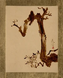 Crow on Tree