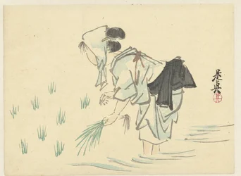 Woman Planting Rice