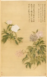 Peonies, Hanging Scroll