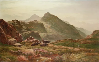 Highland Scene
