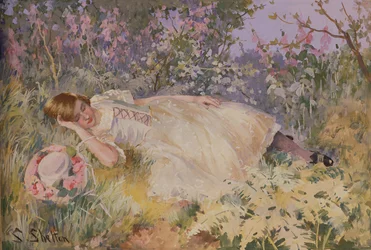 Asleep among the Foxgloves