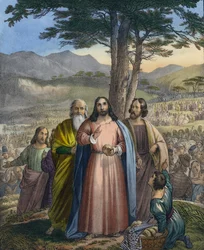 Christ Feedeth the Multitude