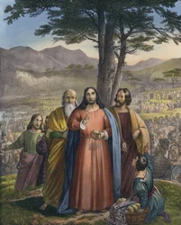 Christ feedeth the multitude