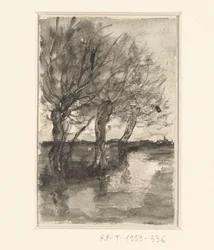 Trees Along a Ditch