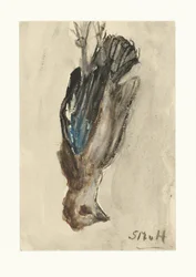 Dead Bird Hanging by Its Feet