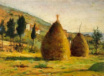 Haystacks in Sun