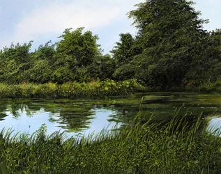 The Garden Pond