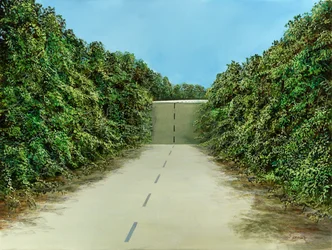 Drive Over