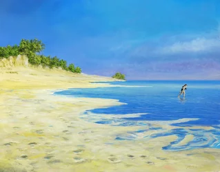 Beach Walk