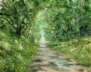 Tunnel Path