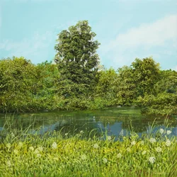 Shore Scene
