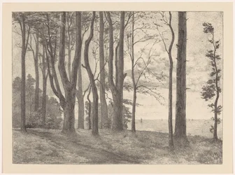 Trees by Water with Sailboats