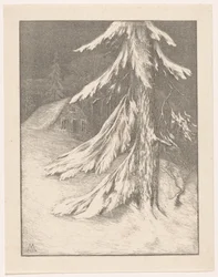 Spar in Snowy Landscape