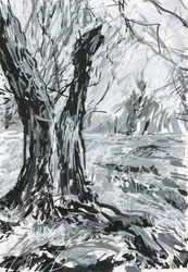Old Tree, Richmond Park
