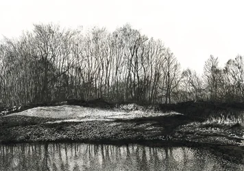 Stand of Birch Trees, Burying Hill Beach