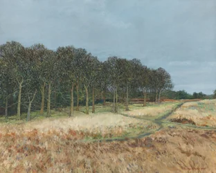 Woodland, Richmond Park