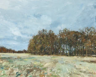 Woodland, Richmond Park