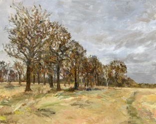 Woodland, Richmond Park no 6, 2022