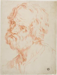 Male Head