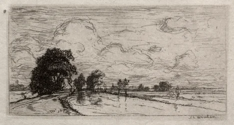 Flooded Landscape with Trees