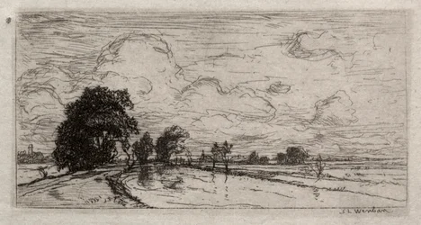 Flooded Landscape with Trees