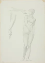Standing Female Nude and Sketches of Arms