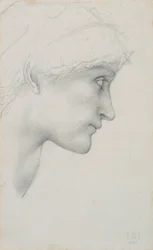 Head