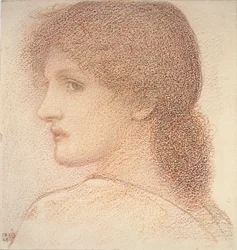 Study of a Woman