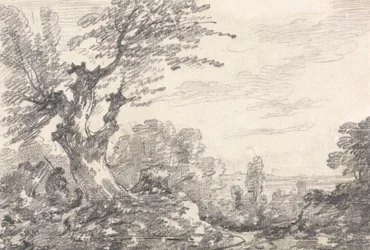 Landscape Composition