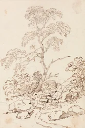 Tree by Steps