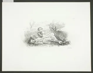 Summer Indolence