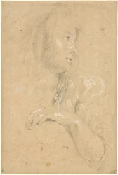 Young Woman in Profile