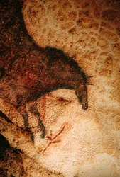 Galloping Horse in Lascaux Cave, France