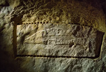 Prehistoric cave carving depicts a salmon, from the Abri du Poisson (Fish Rock Shelter)