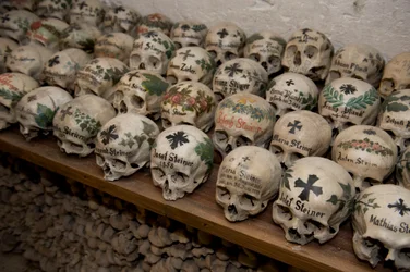 Some of the 600 skulls at the 