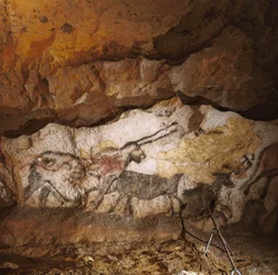 The Mythical Unicorn of Lascaux painted over 17,000 years ago line the white calcite