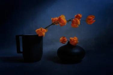 Autumn Lantern Still Life