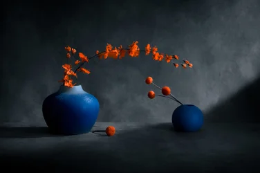 Blue Vases Orange Blooms