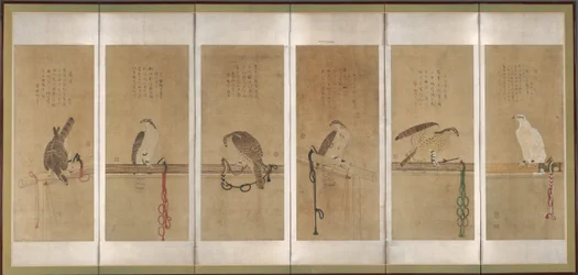 Tethered Hawks, Before 1606