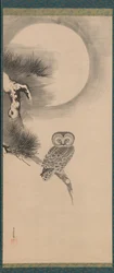 Owl on a Pine Branch