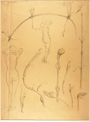 Branch and Nude Study