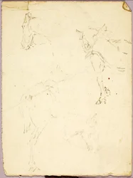 Horses