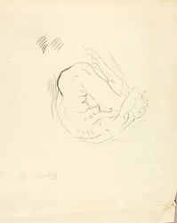 Swimmer