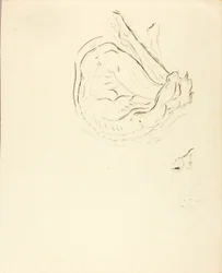 Swimmer