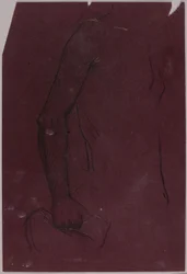Torso, study for Equestrian Monument