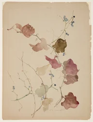 Study of Clematis Vine with Blue Berries