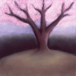 Blossom Tree