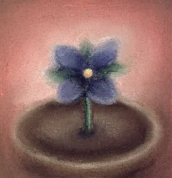 Little Flower