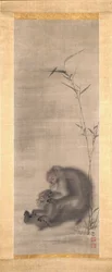 Monkey Grooming Offspring Near Bamboo