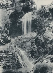 A Johannesburg Picnic Place, Kruger